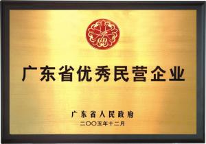 广东省优秀民营企业